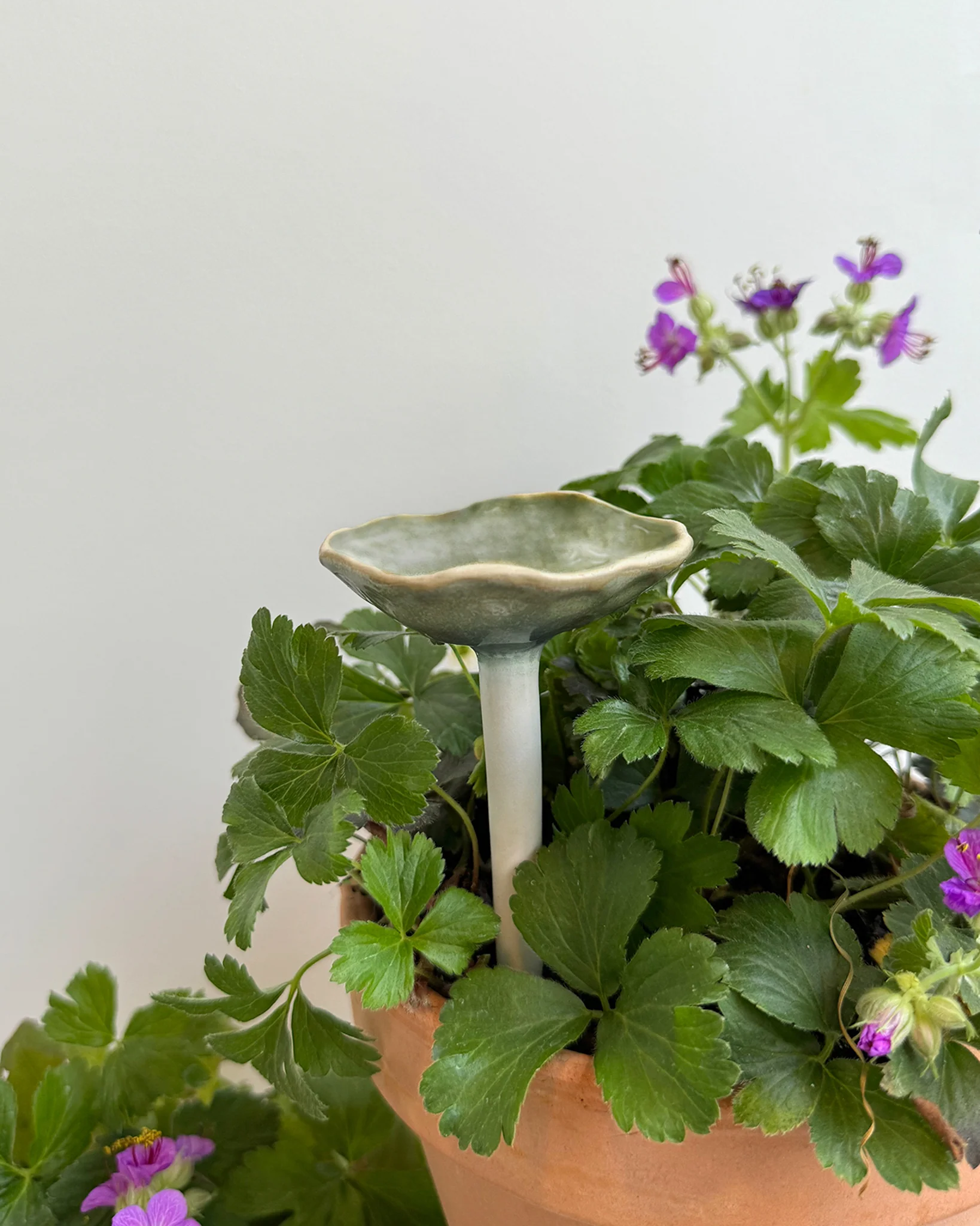 Bee Cup - Image 6