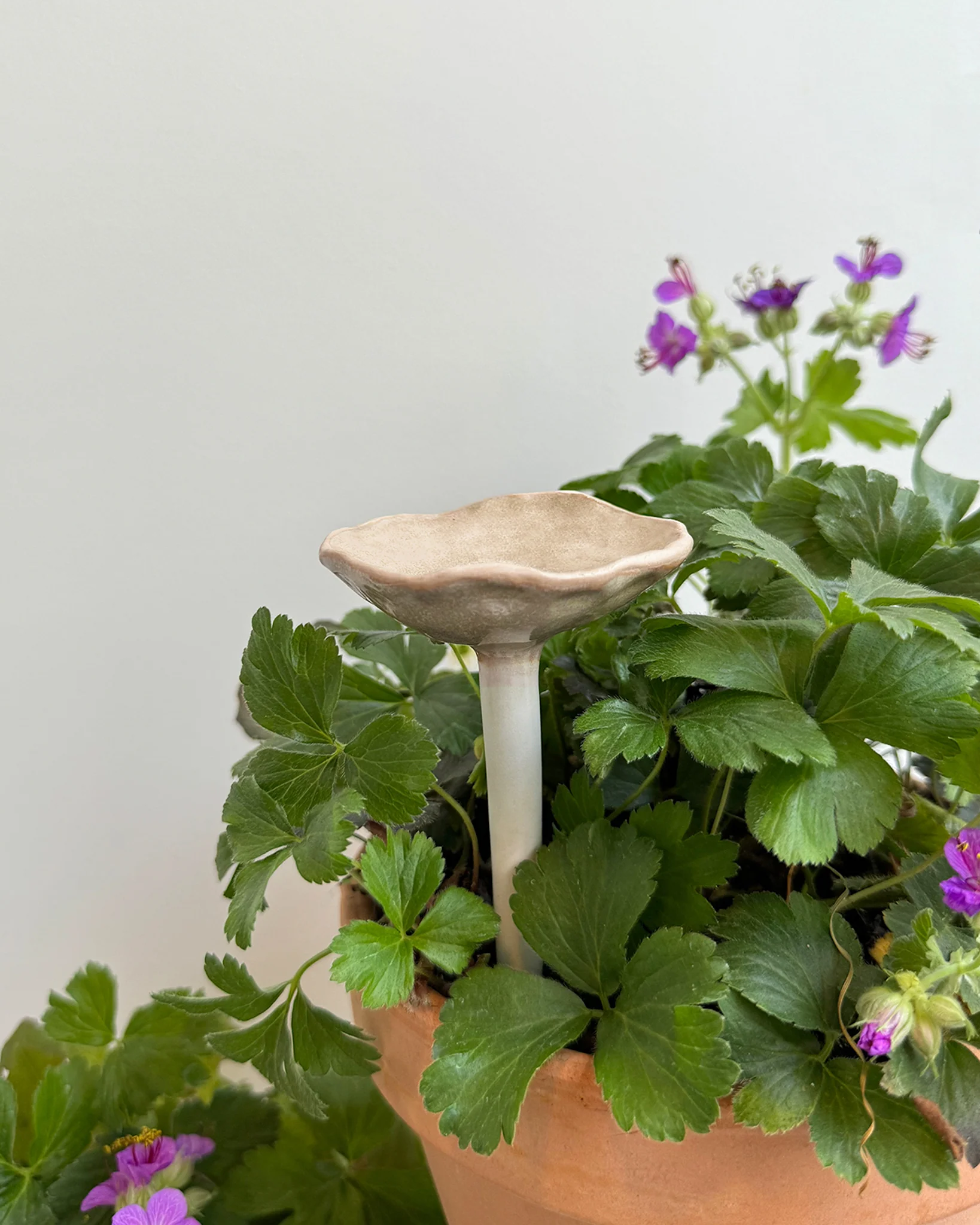 Bee Cup - Image 7