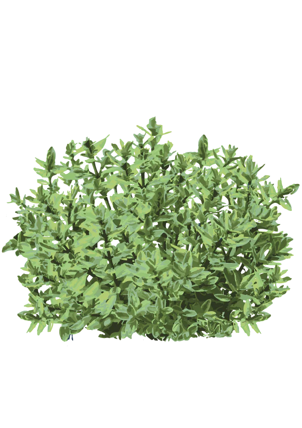 Miniaturebillede 1