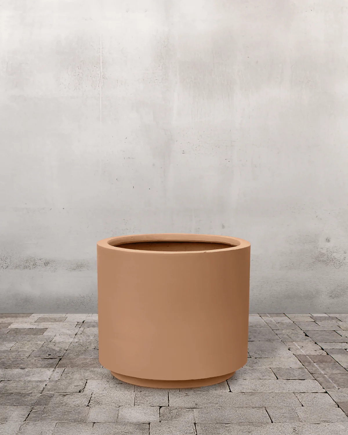 Citrontræ, Citrus limon - 50-70 cm - Image 6