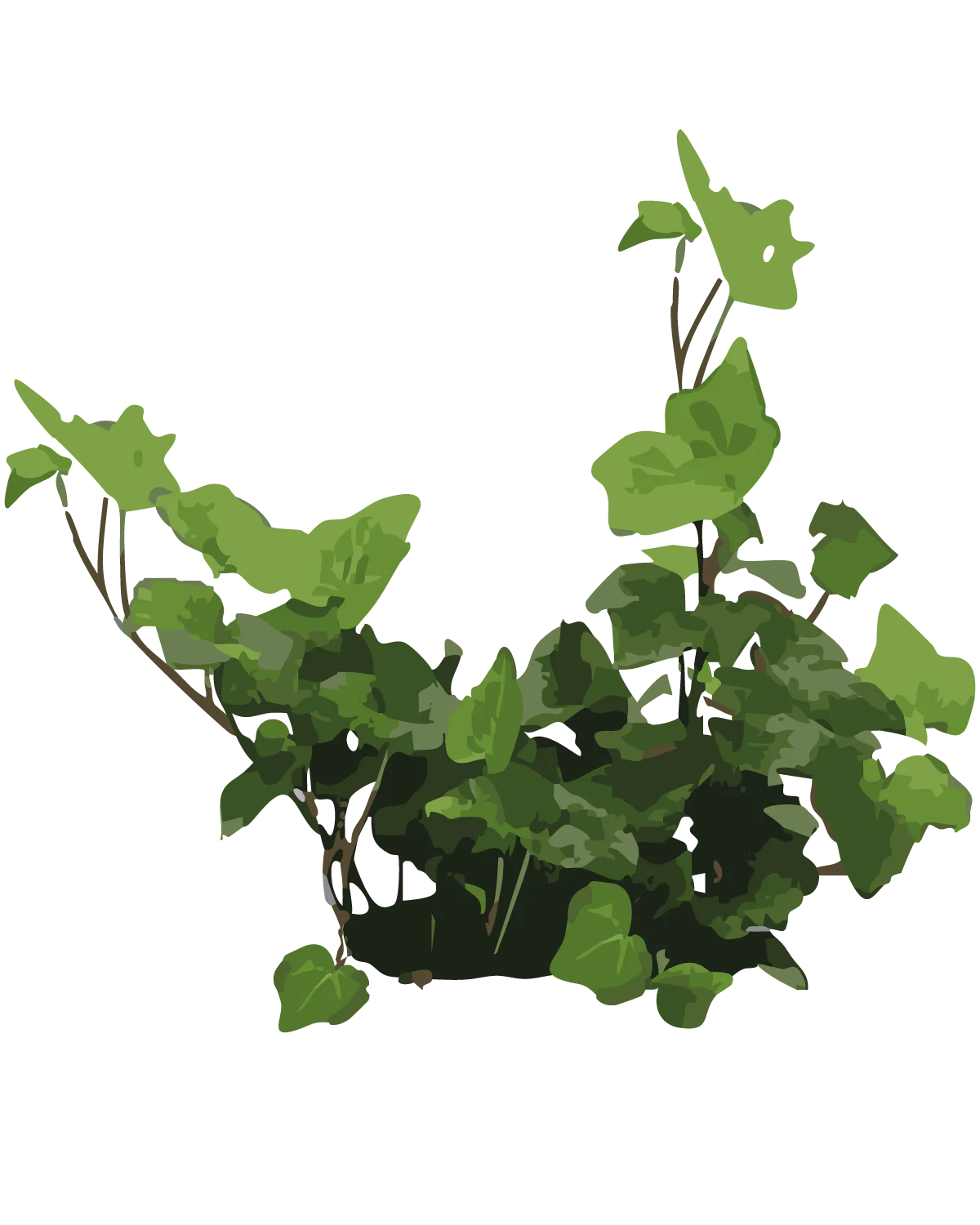 Miniaturebillede 1