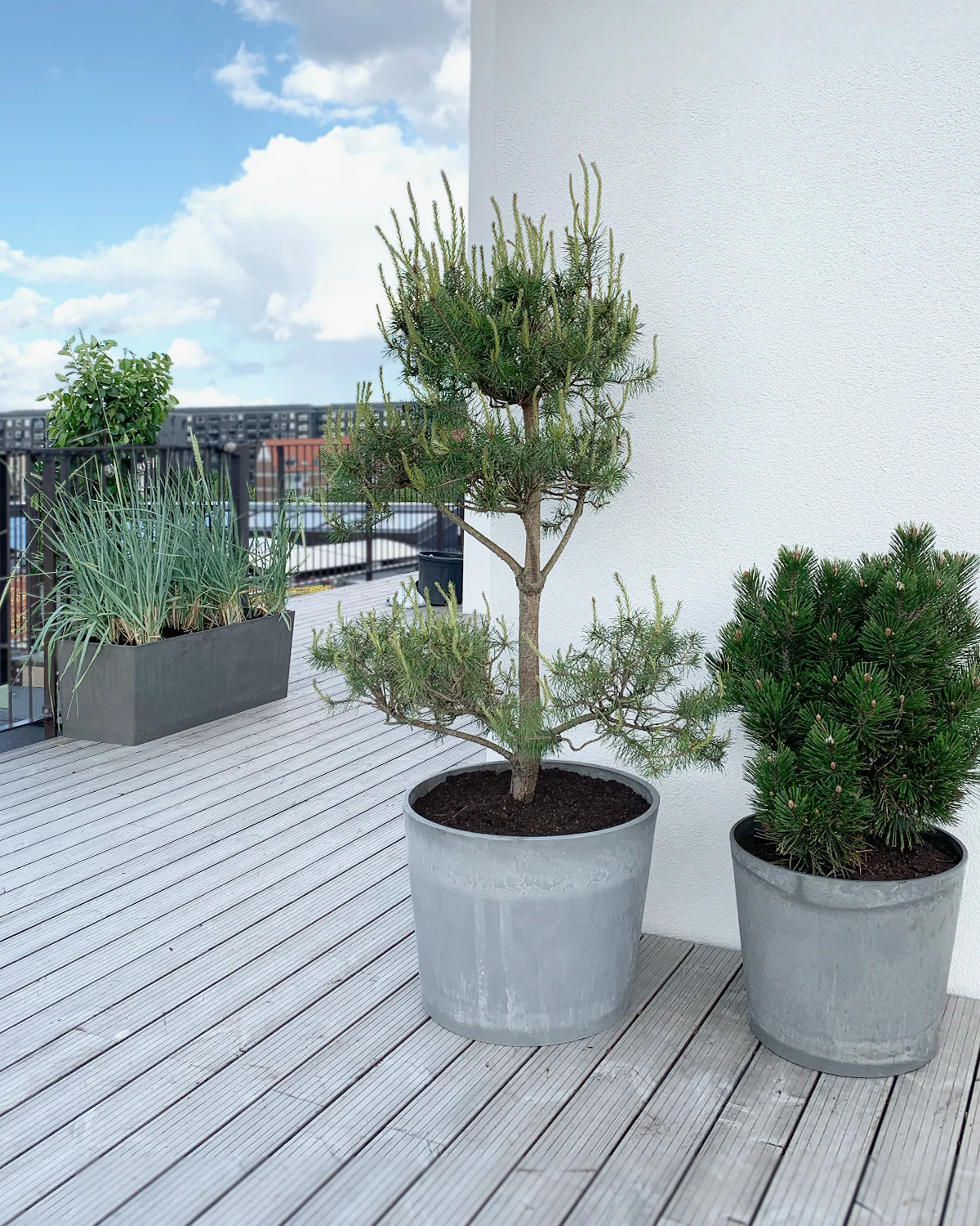 Greenify Udendørskrukke - Grå - Ø26 - Image 3