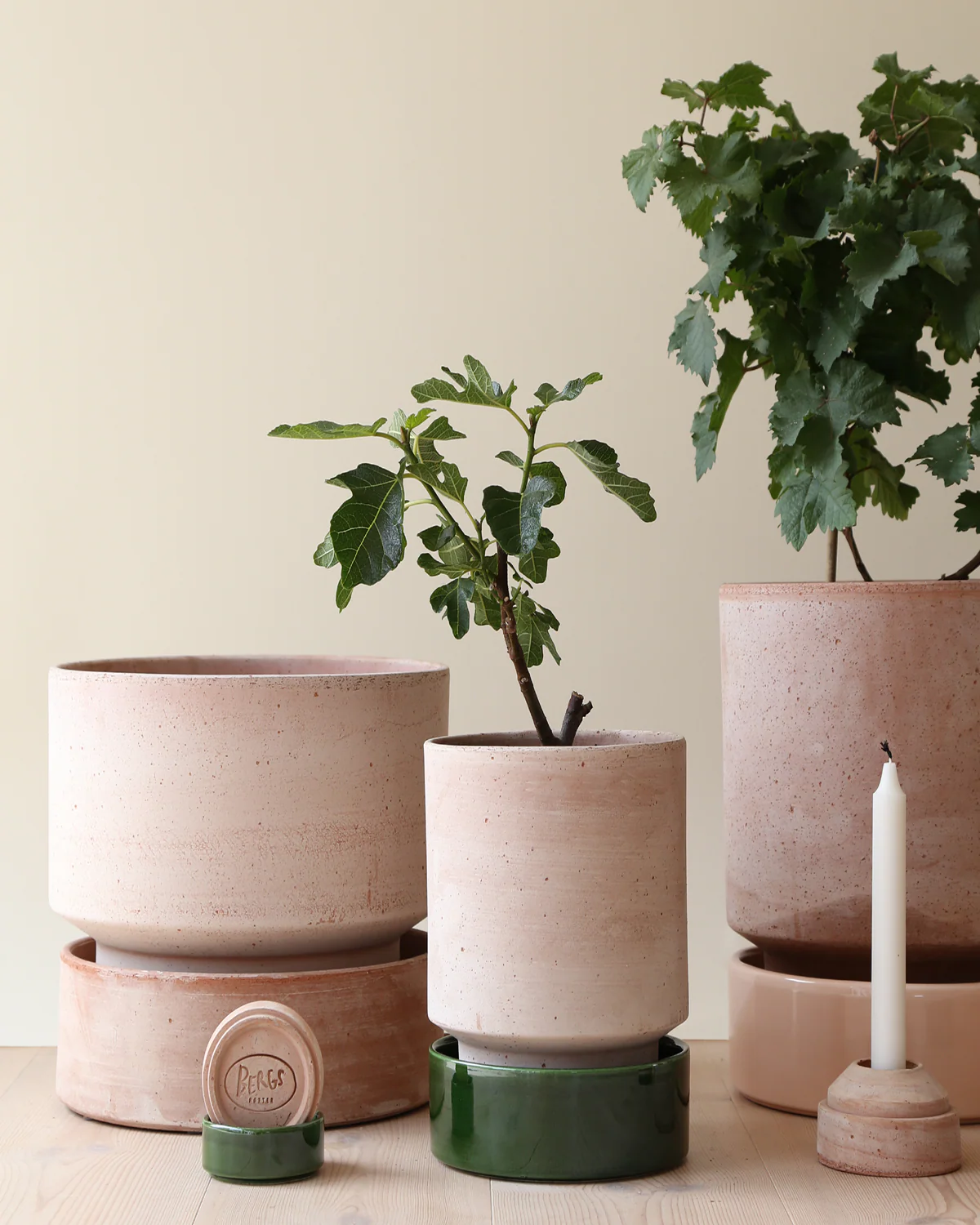 Hoff Krukke - Raw Rosa - Image 3