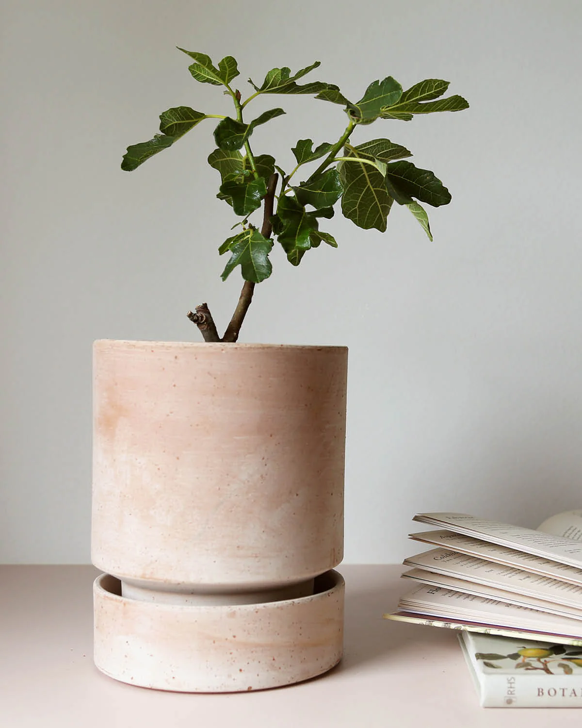 Hoff Underfad - Raw Rosa - Image 2