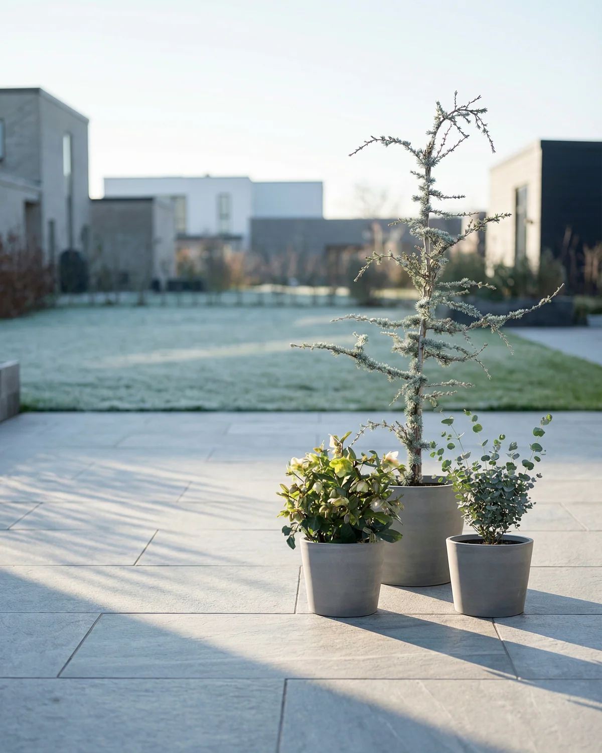 Grågrønne Krukkesæt - 3 krukker med vandreservoir - Image 9