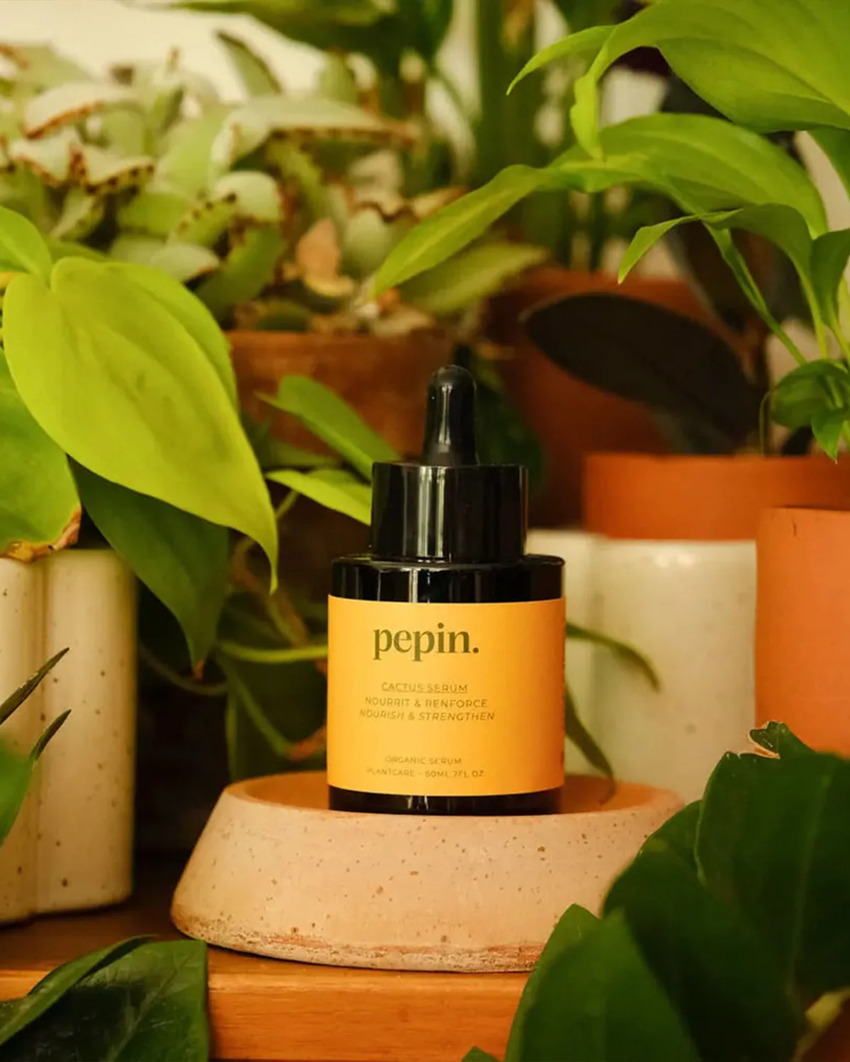 Cactus Serum - Pepin - Image 2