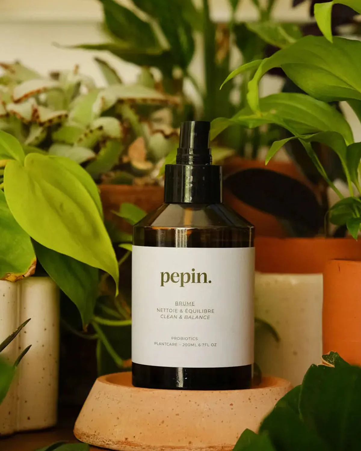 Cleansing Mist - Pepin - Image 2
