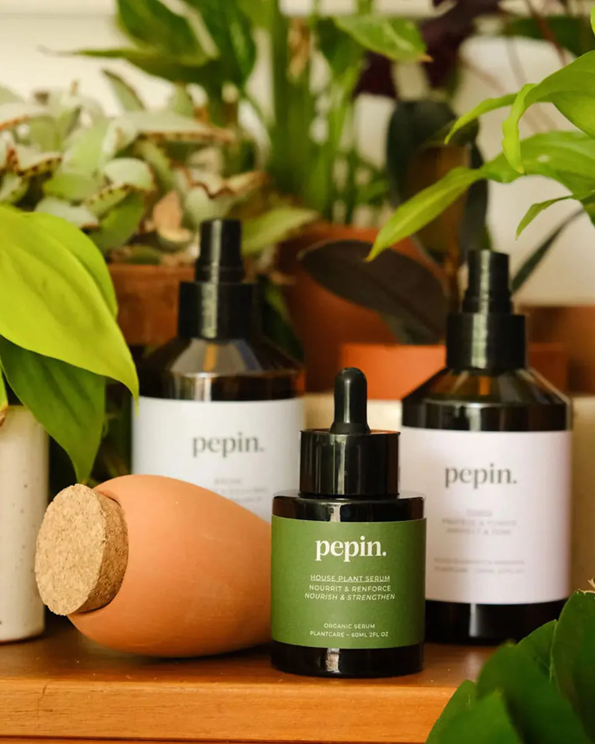 Plantcare Routine - Pepin - Image 2
