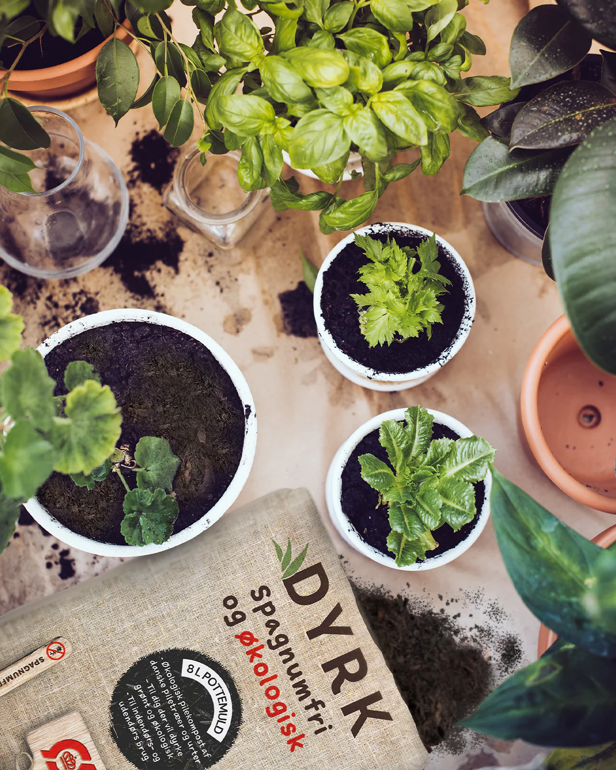Miniaturebillede 1