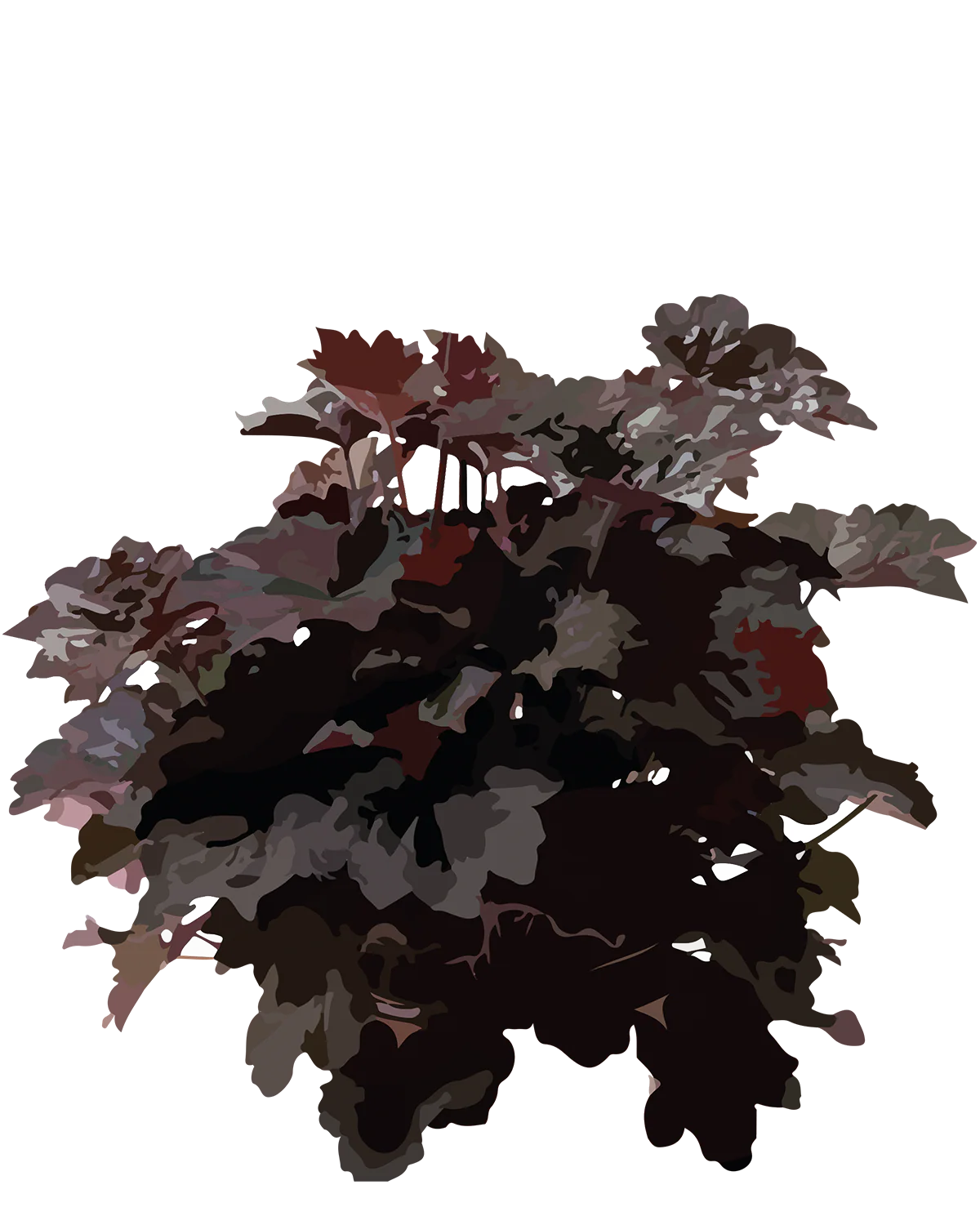 Miniaturebillede 1