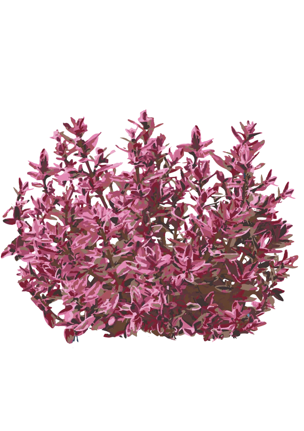 Miniaturebillede 1