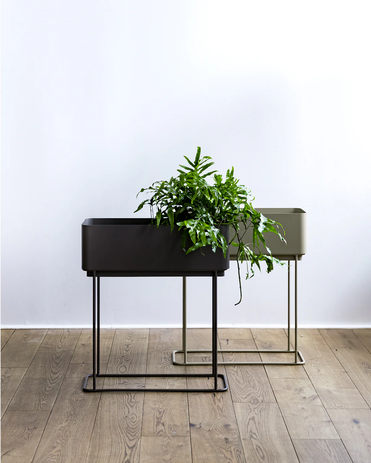 Simple Box - Flere varianter