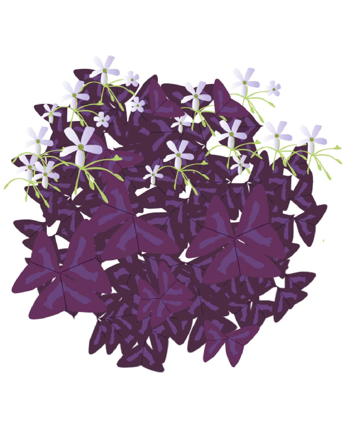 Miniaturebillede 1